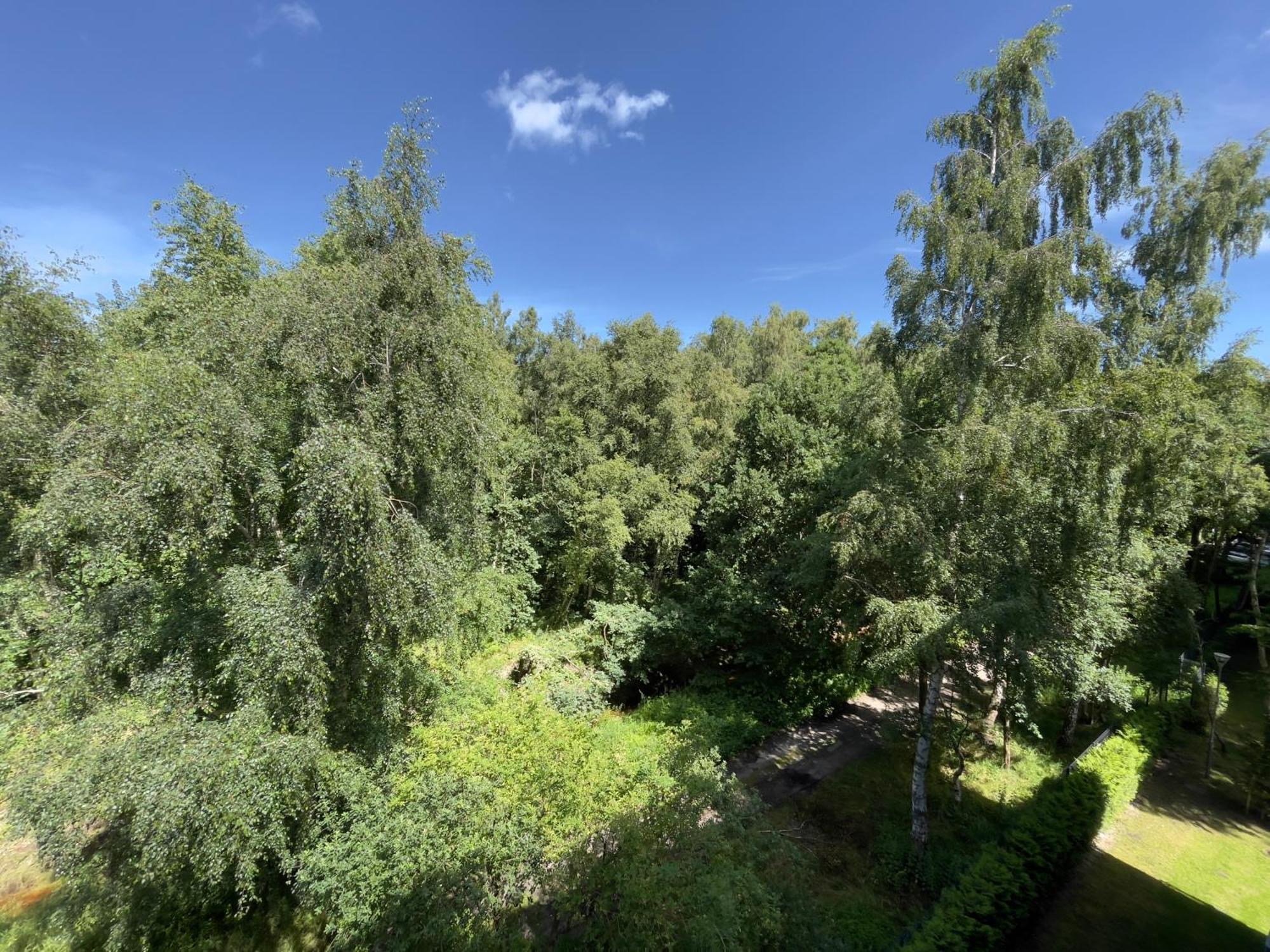 Apartament Na Polankach קולובז'ג מראה חיצוני תמונה